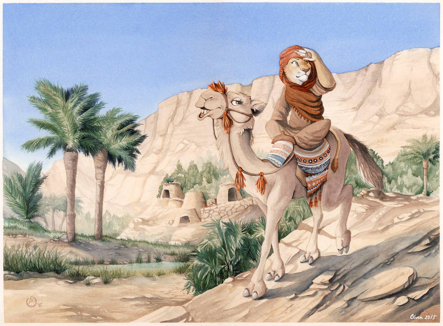 Journey to Al-Fayoum by olvice