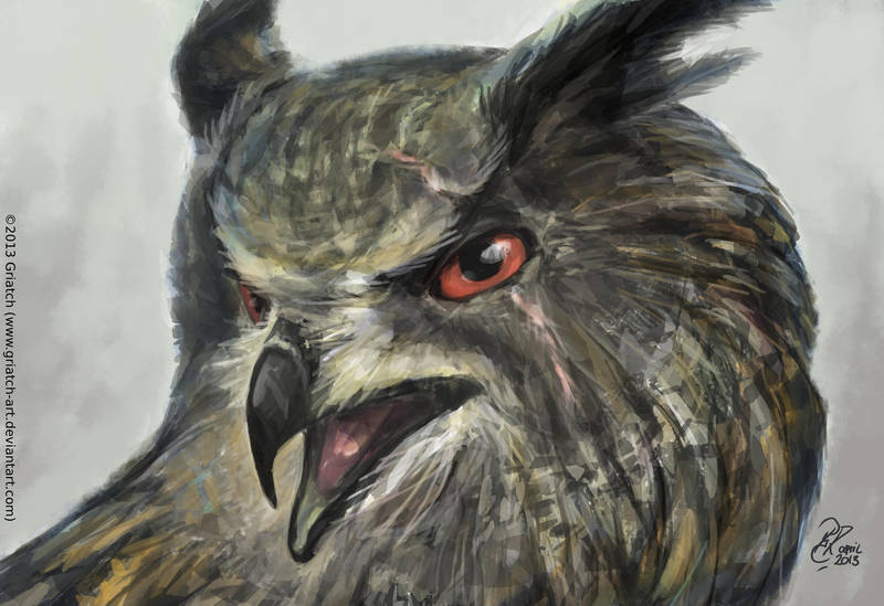 Hardcase Owl by Griatch-art