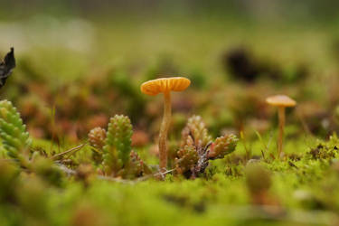 Tiny Alien Planet by Rick-TinyWorlds