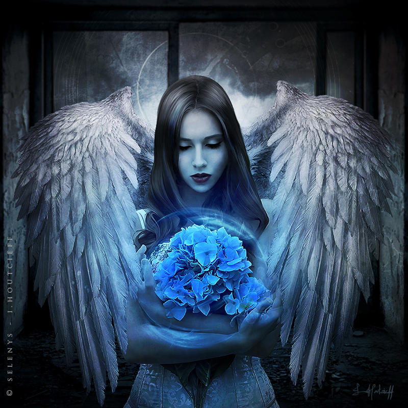 Protection by Selenys