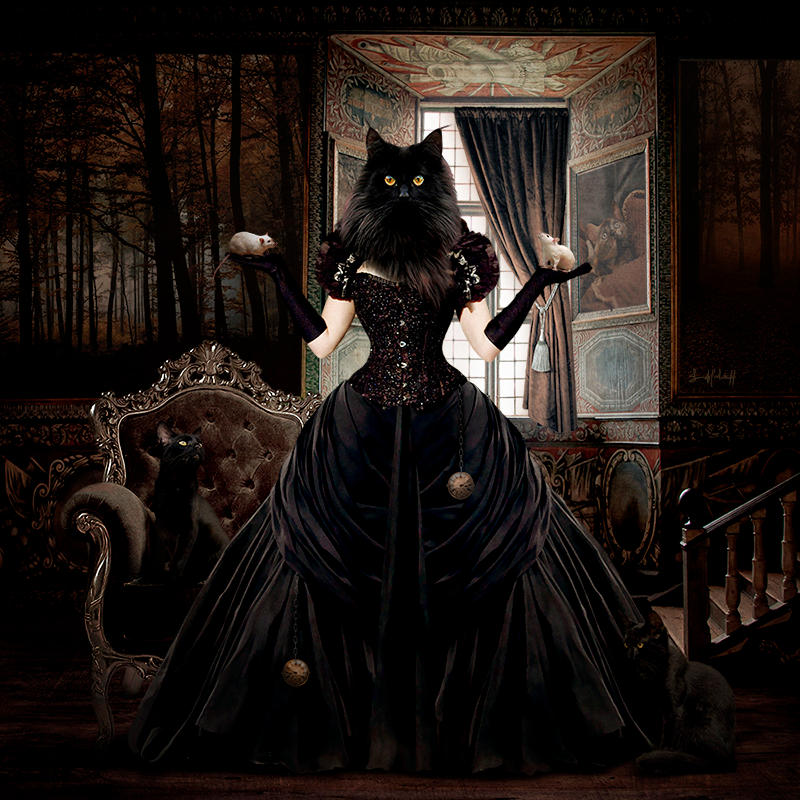 The Lady Cat by Selenys