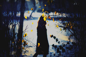 it ends tonight by meyrembulucek