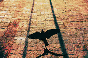 airport by meyrembulucek