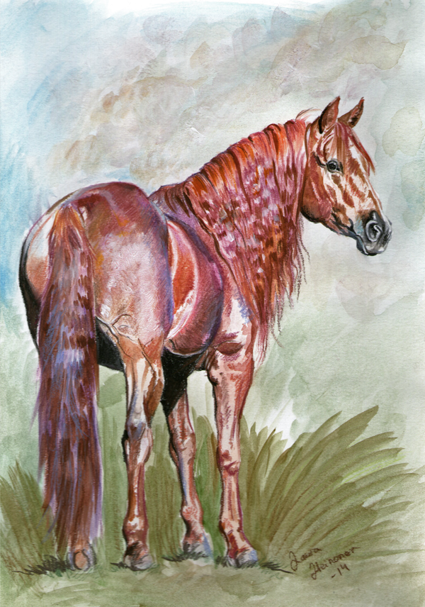 Baroque Horse in Mixed Media by Hei-La on DeviantArt