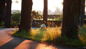 Golden hour by WouterPera