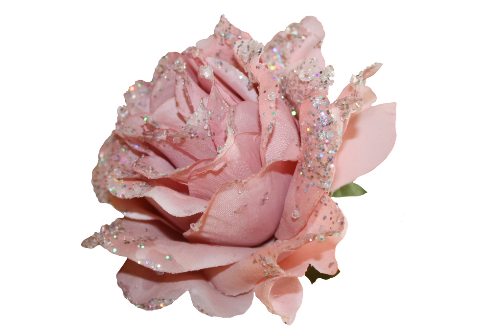 Grannysatticstock Pink Glitter Rose Side View by ...