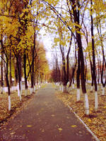 Autumn by Erica-fearless