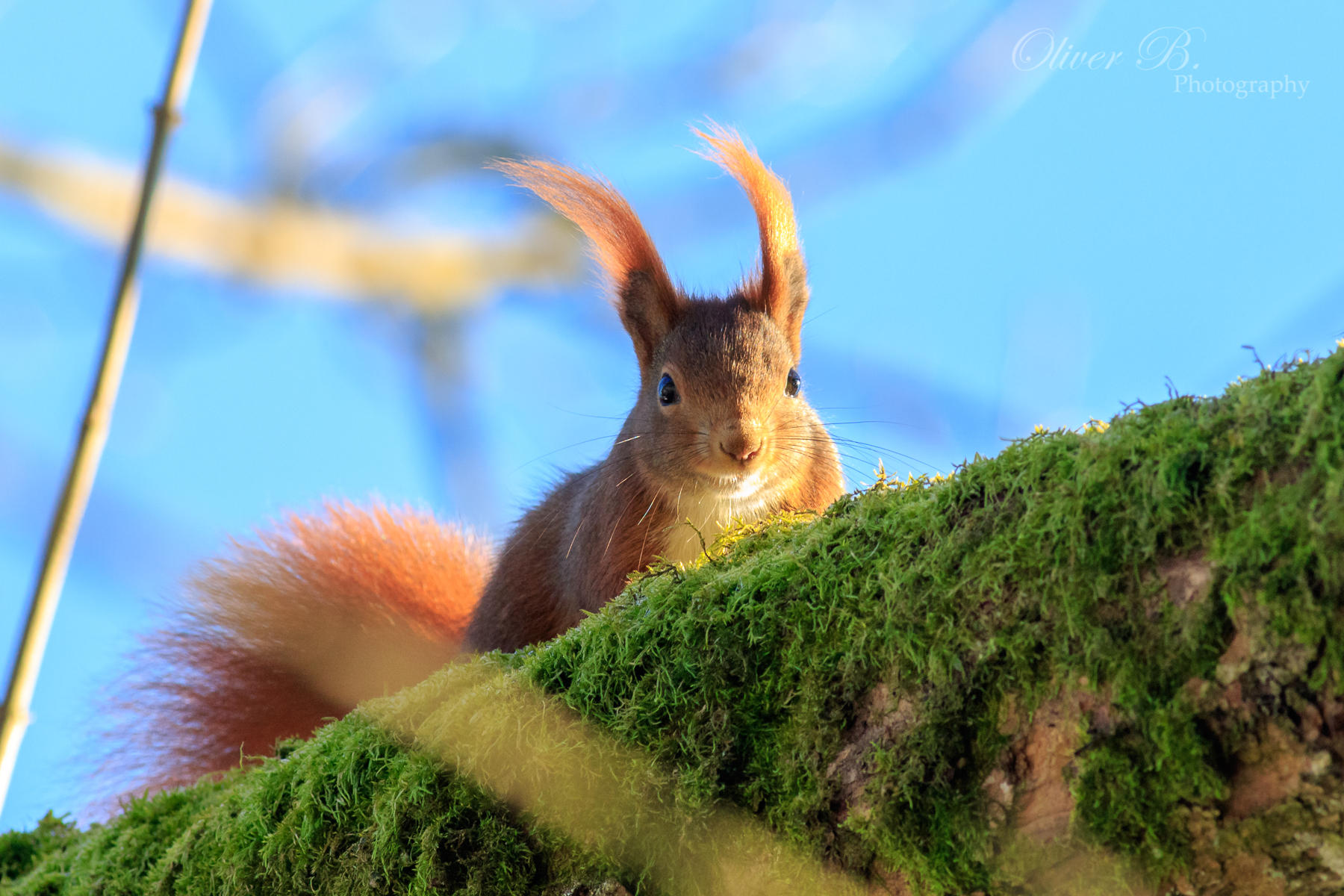 What's up down there? by OliverBPhotography