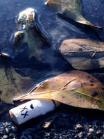 Death by Water by juliannechristoffel