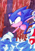 Sonic and Amy by TheEvaFAN on DeviantArt