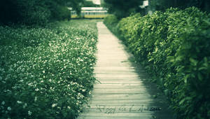 The Garden by peggyn21789