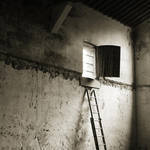 letter from my prison by Piarvi-Recherreen