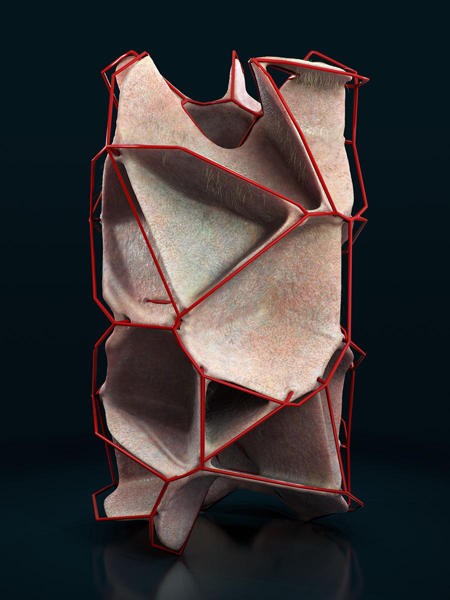 Hypatia - Generative Form by theGutlessWonder