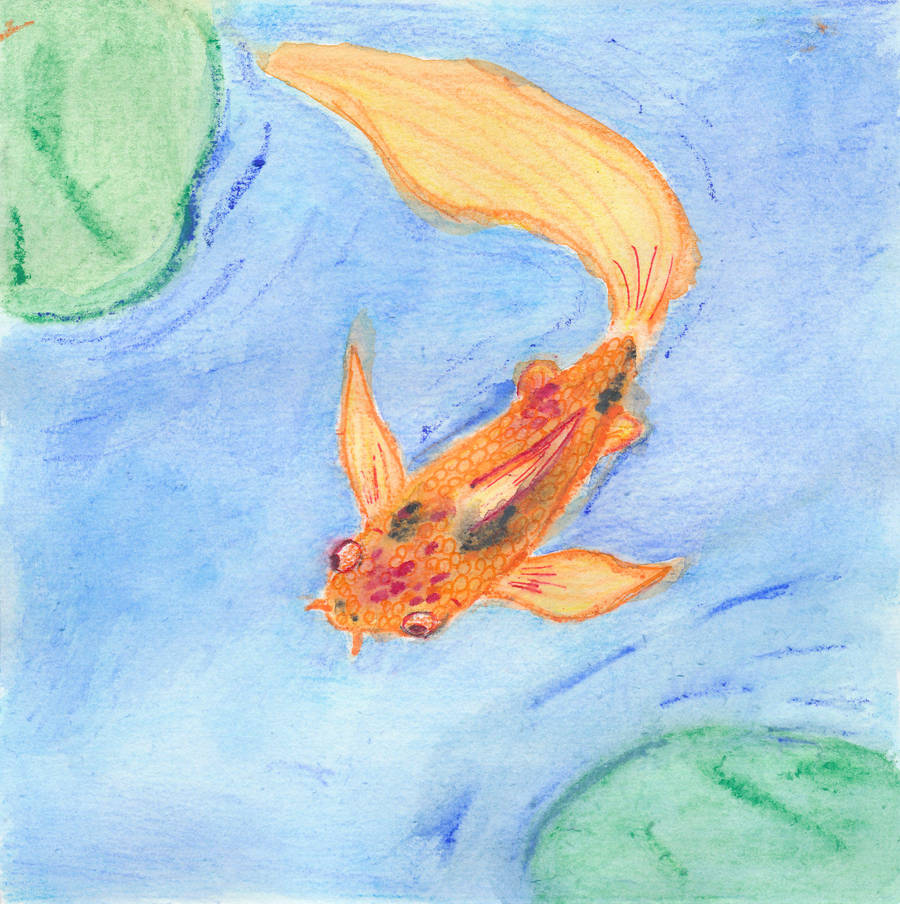 Koi by kamiki