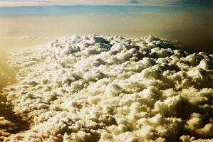 Quotes by burcinesin