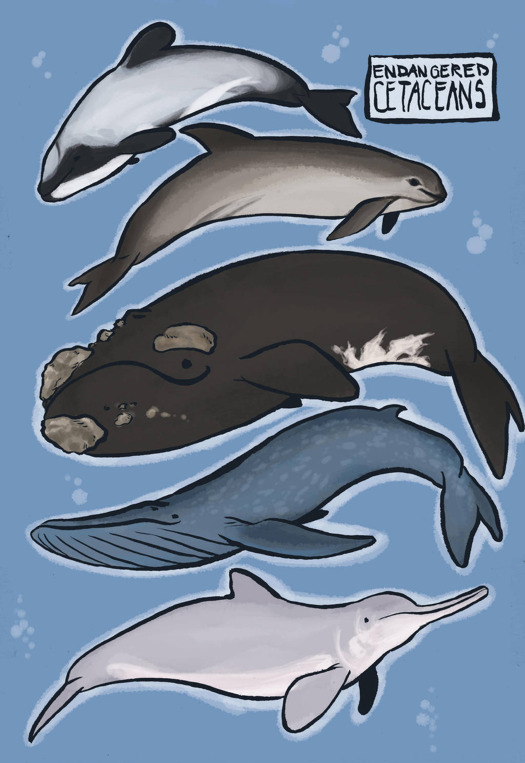 endangered cetaceans by AnnieFliesAway