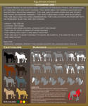 Kelephan ponies breeds - Chaimois by WoC-Brissinge