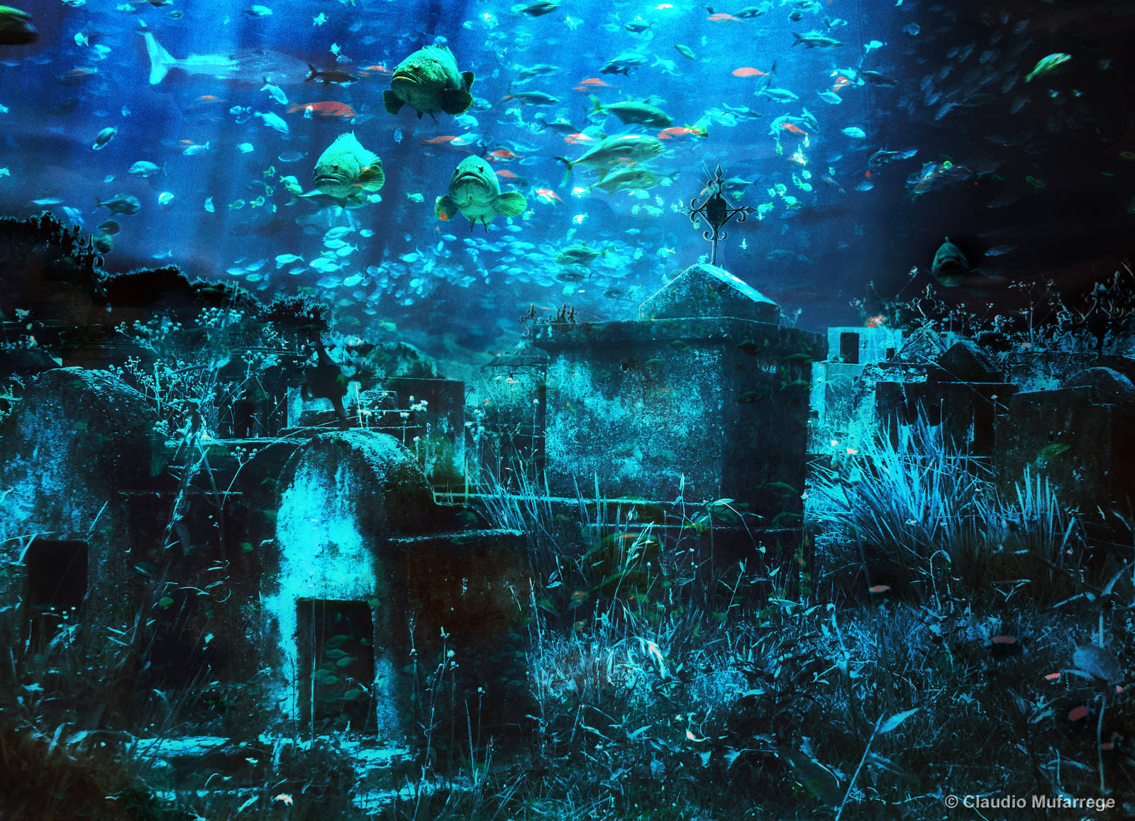 The waters of oblivion by ClaudioAr