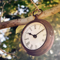 Time Displacement... by goRillA-iNK