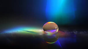 The Last Quiet Place by goRillA-iNK