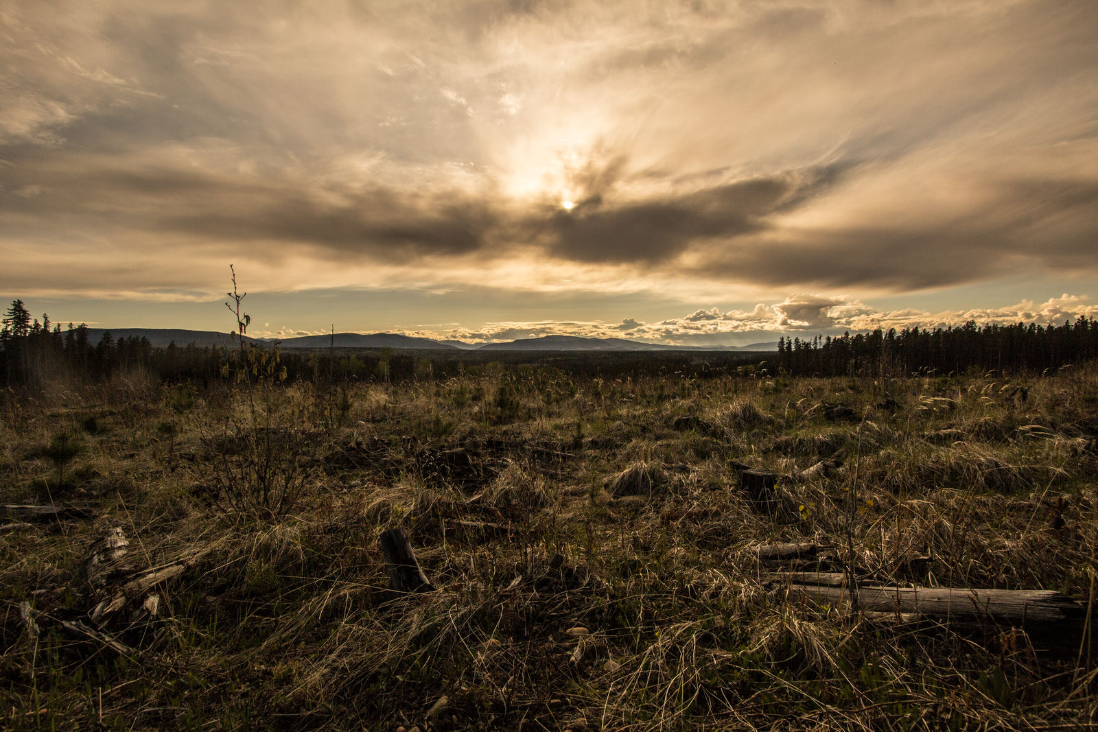 Prarie Sunset by oddmountain