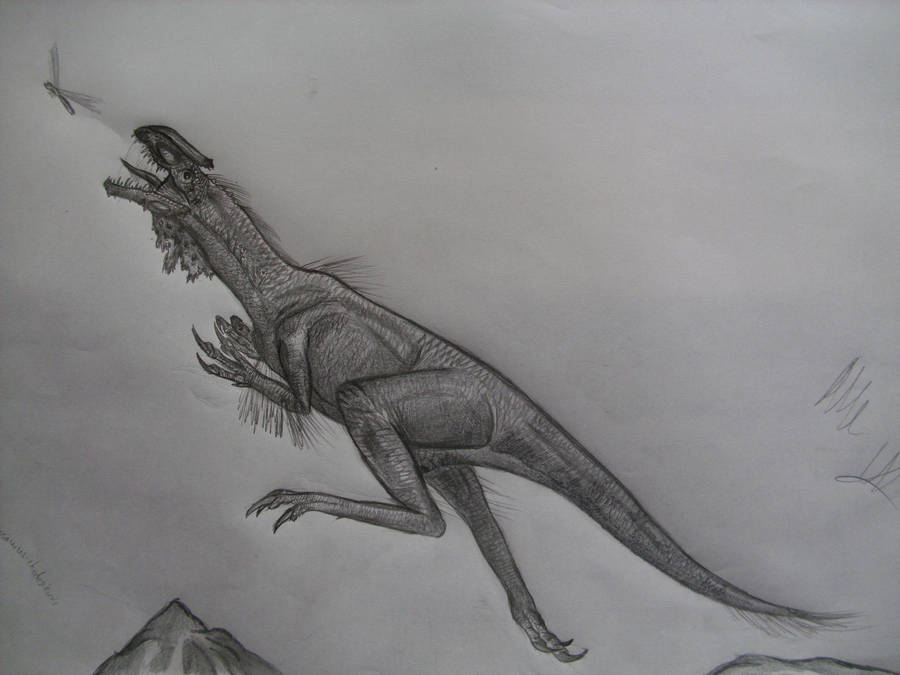 Megapnosaurus kayentakatae by Teratophoneus