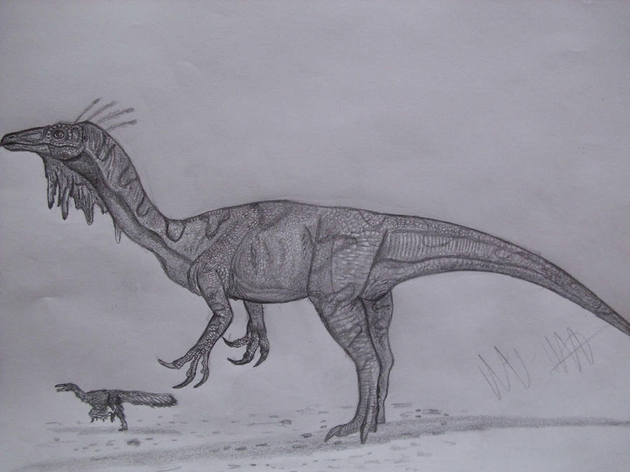 Beishanlong grandis by Teratophoneus