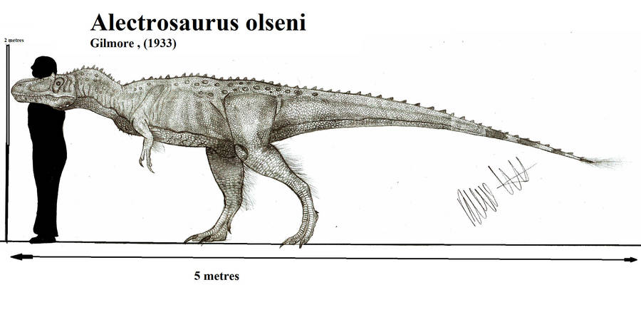 Alioramus Carnivorous Theropod Dinosaur Lived Asia Cretaceous