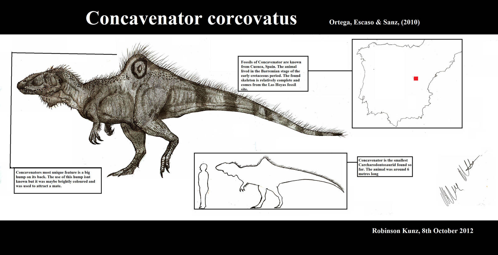 Concavenator corcovatus by Teratophoneus