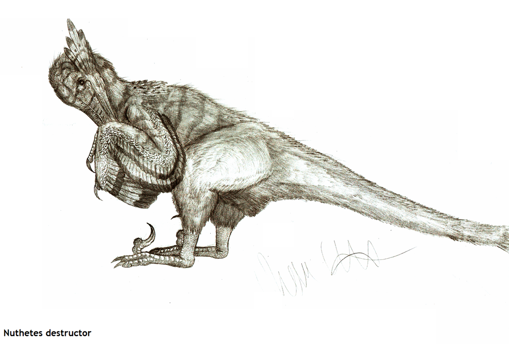 Nuthetes destructor by Teratophoneus