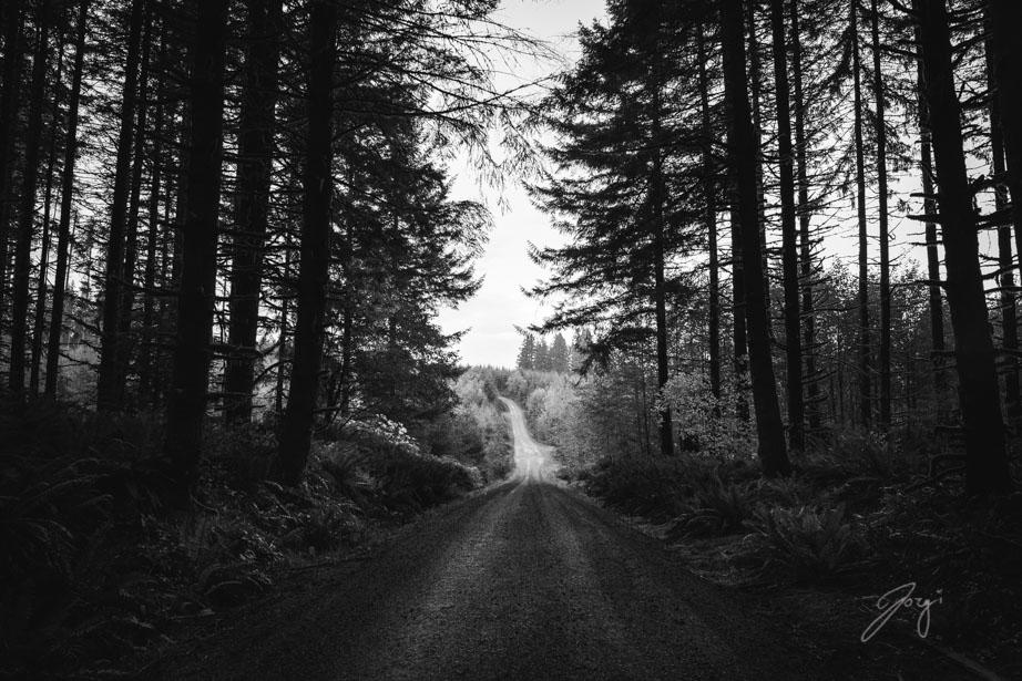 The Light I Can't Follow by Jorgipie