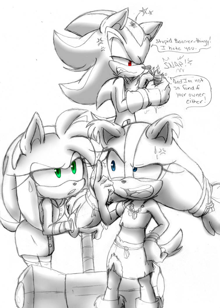 Sonic Boom.:.Boomerang Hater by Credens-Vita on DeviantArt