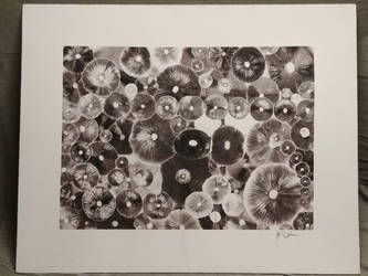 Who's who? by GoldenSilkStudio