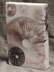 Fireworks or something like that. by GoldenSilkStudio