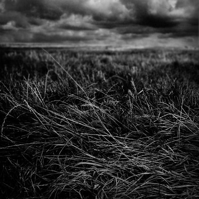dispersiveness grassland by calis