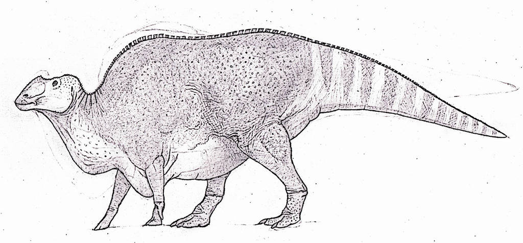 Gryposaurus WIP by TheMorlock