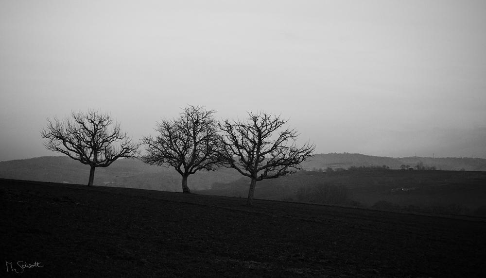 Solitude. by marc-bruno