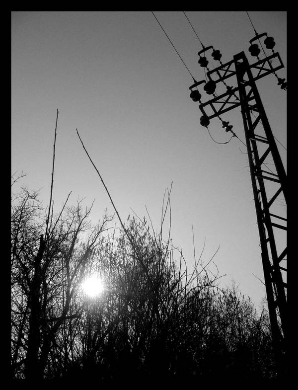 line of supply by marc-bruno