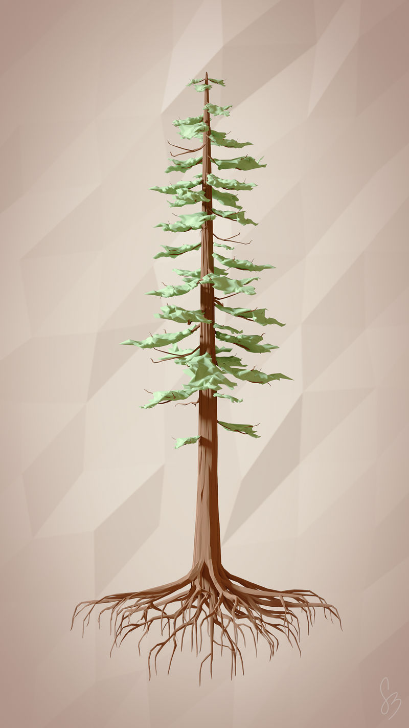 Redwood by smnbrnr