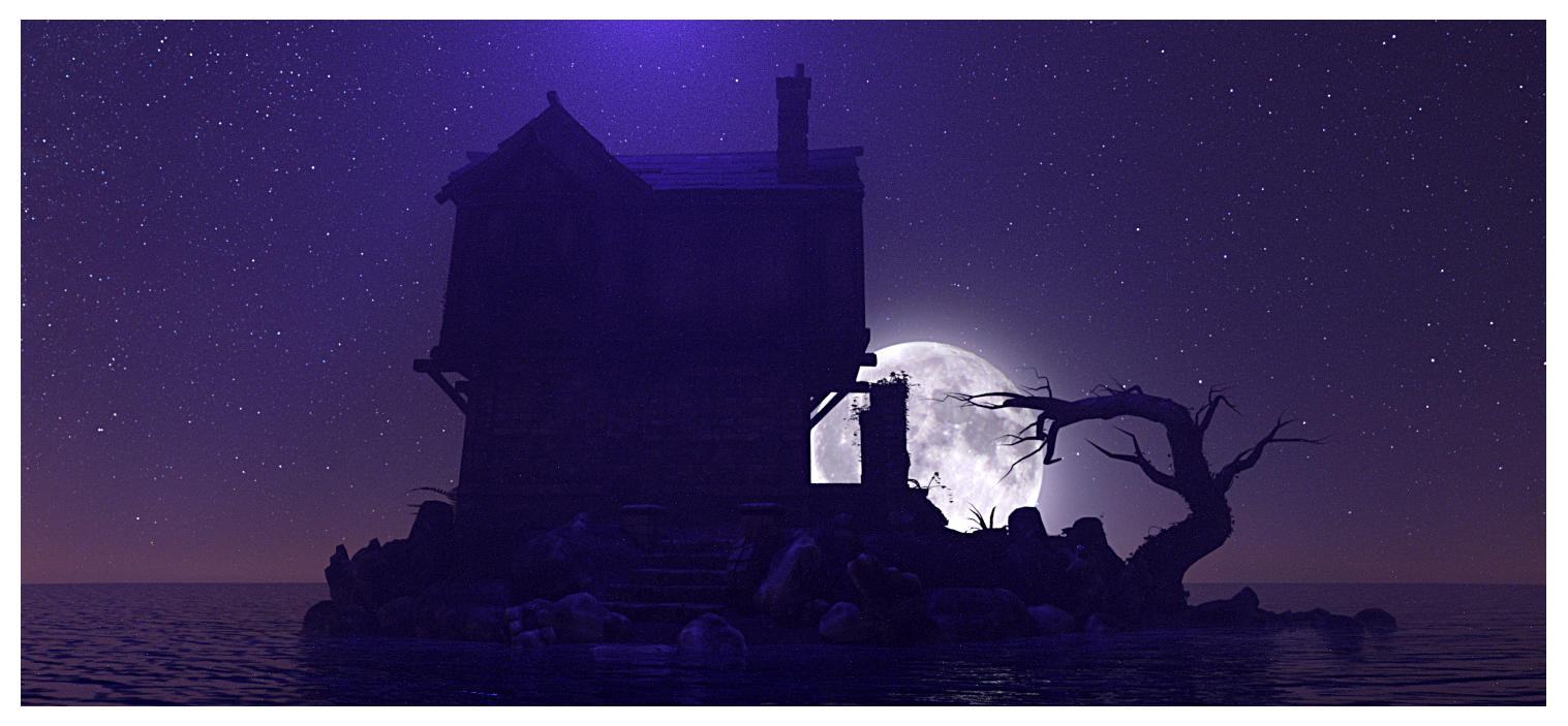 Dark House by Platycerium