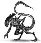 Xenomorph by Glaiceana