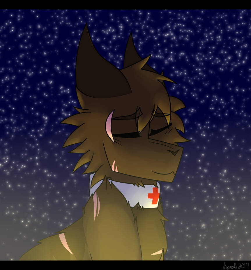 We Are The Reckless We Are The Wild Youth By Keystothestars On Deviantart We are the reckless, we are the wild youth chasing visions of our futures one day we'll reveal the truth that one will die before he gets there. deviantart