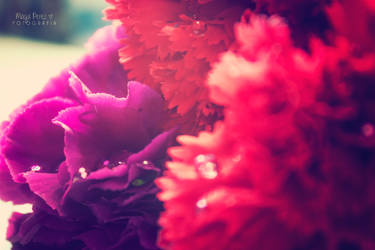 Flowers are a girl's best friend by maguis