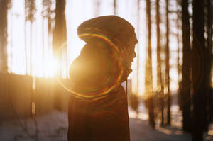 Sunny Forest by rmalo5aapi