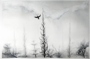 Crows Country by Tistelmark Crows Country by Tistelmark