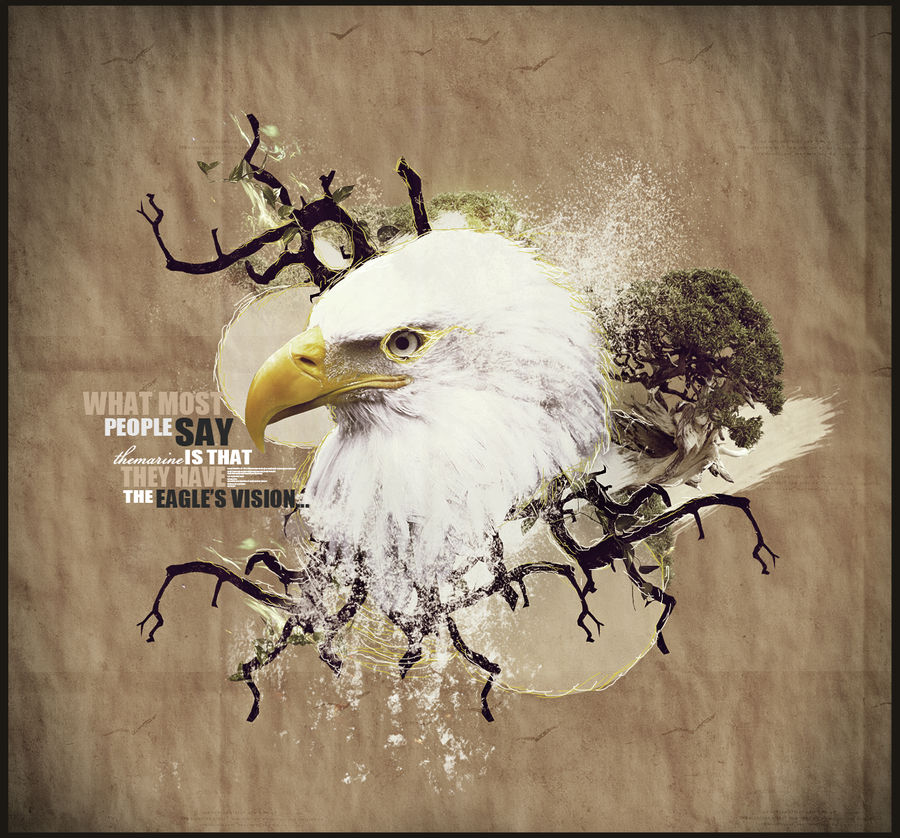Eagle's Vision
