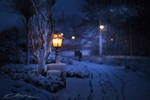In bright white snow, when everyone sleeps by MaaykeKlaver