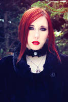 Aristocratic Winter by Stephvanrijn