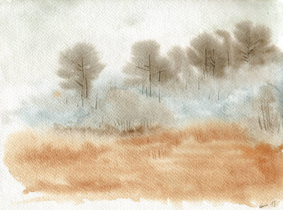 November by PetStudent