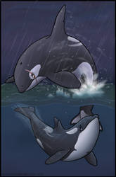 Turmoil and Tranquility by Okura